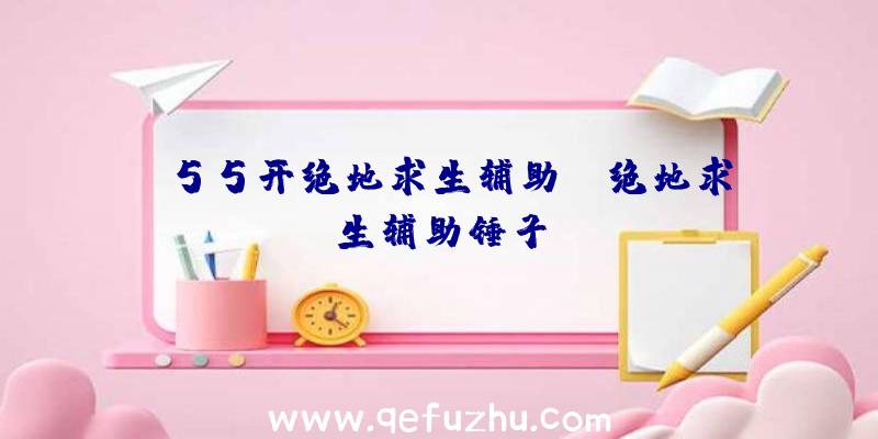 「55开绝地求生辅助」|绝地求生辅助锤子